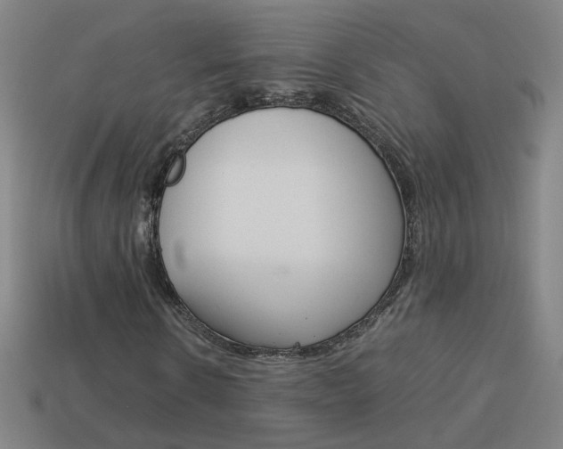 X0000114150914200910081109