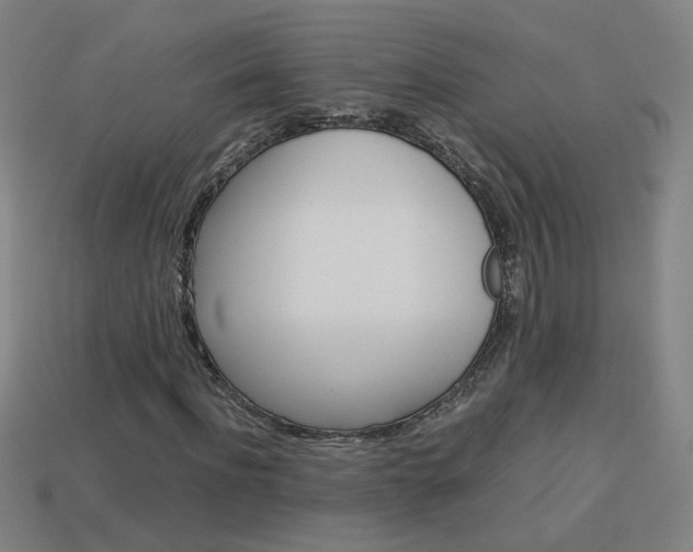 X0000114150916200910081109