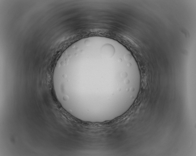 X0000114150917200910081109