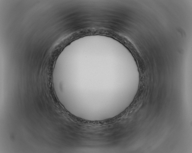 X0000114150919200910081109