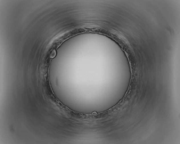 X0000114150920200910081109