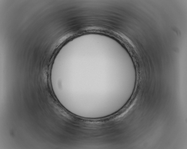 X0000114150921200910081109