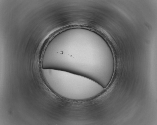 X0000114150923200910081109