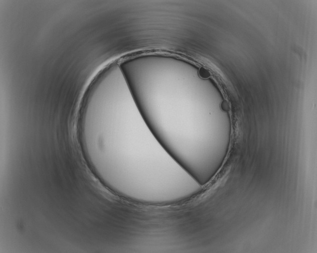 X0000114150924200910081109