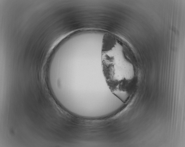 X0000114150925200910081109