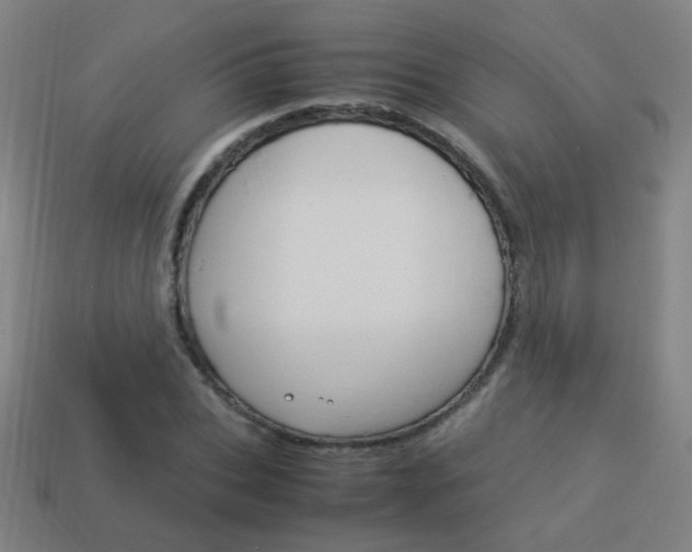 X0000114150927200910081109