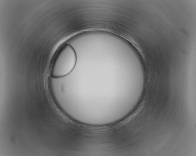 X0000114150928200910081109