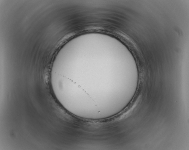 X0000114150929200910081109
