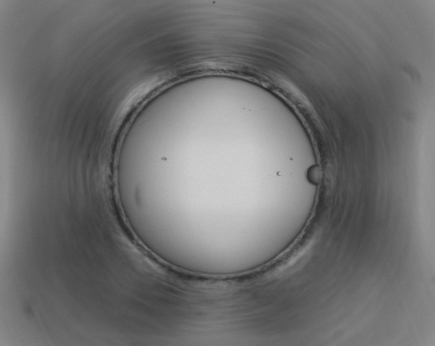 X0000114150930200910081109