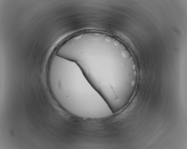 X0000114150931200910081109
