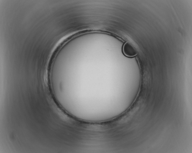 X0000114150932200910081109