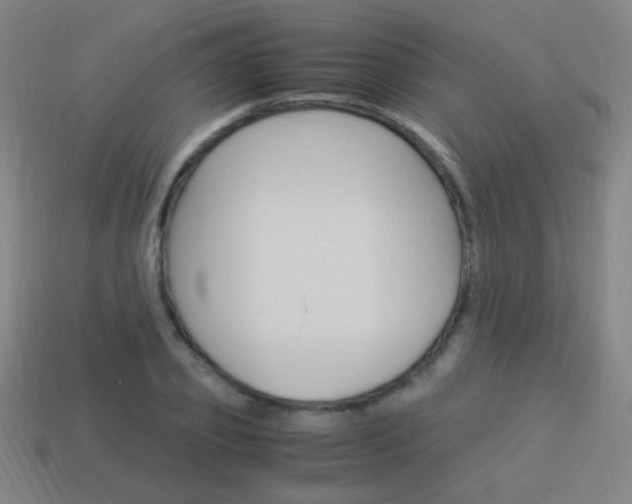 X0000114150933200910081109