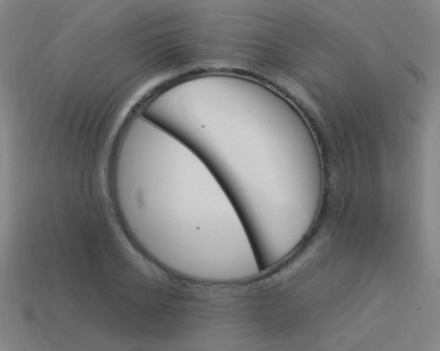 X0000114150934200910081109
