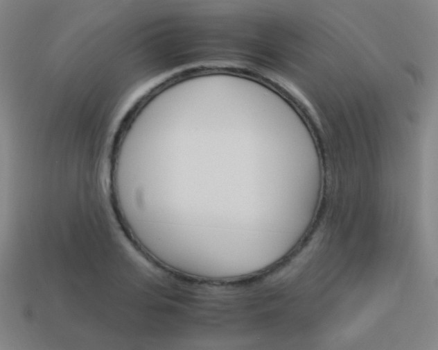 X0000114150935200910081109