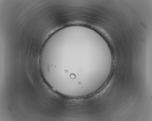X0000114150937200910081110