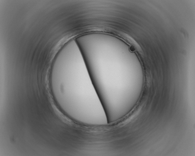 X0000114150938200910081110