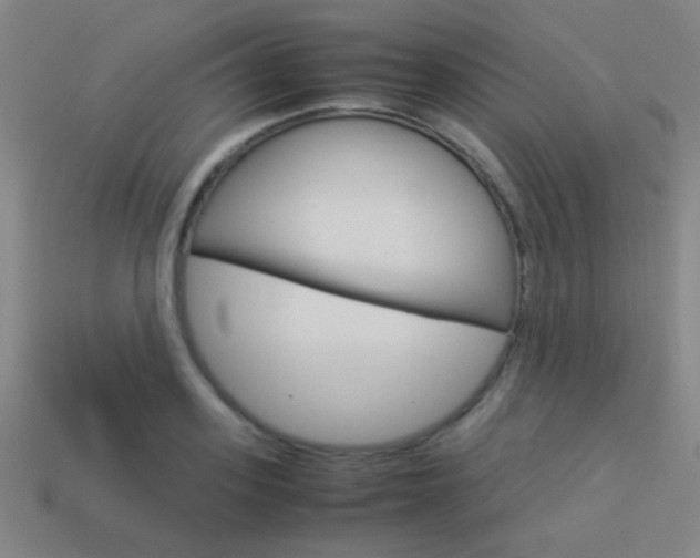 X0000114150939200910081110