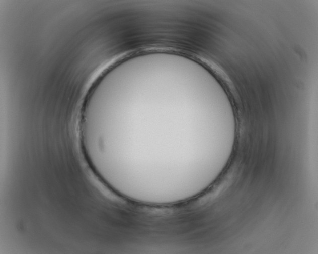 X0000114150941200910081110