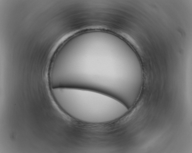 X0000114150943200910081110