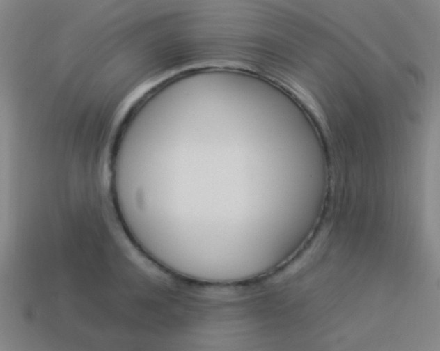 X0000114150944200910081110