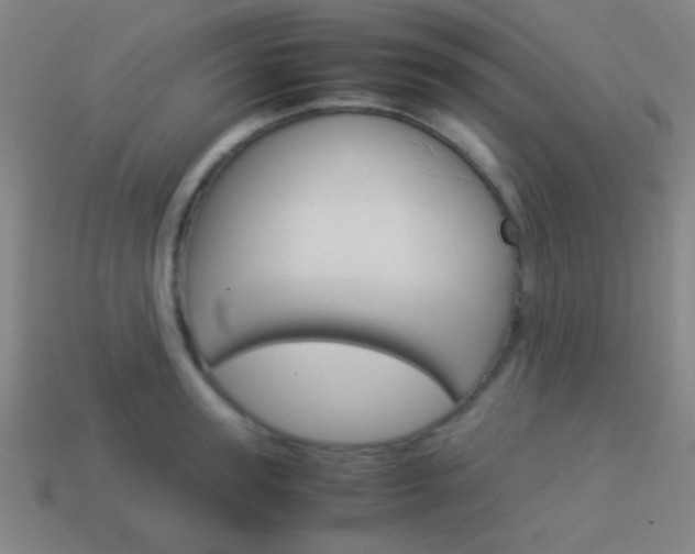 X0000114150947200910081110