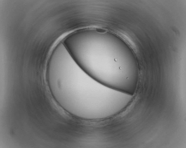 X0000114150948200910081110