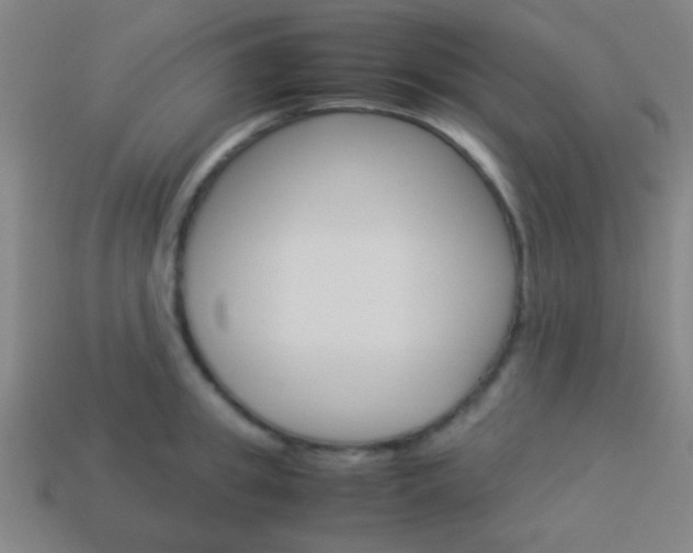 X0000114150949200910081110