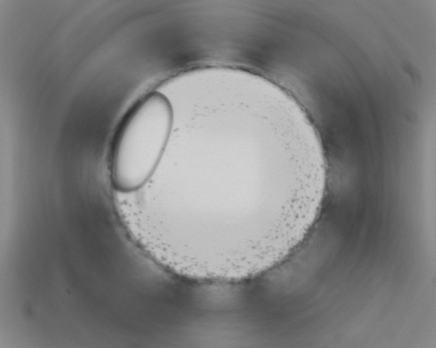 X0000114150950200910081110