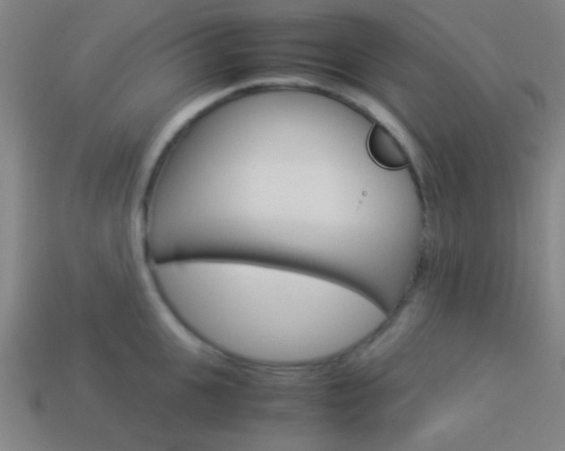 X0000114150951200910081110