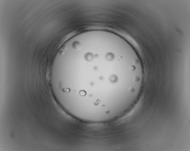X0000114150953200910081110