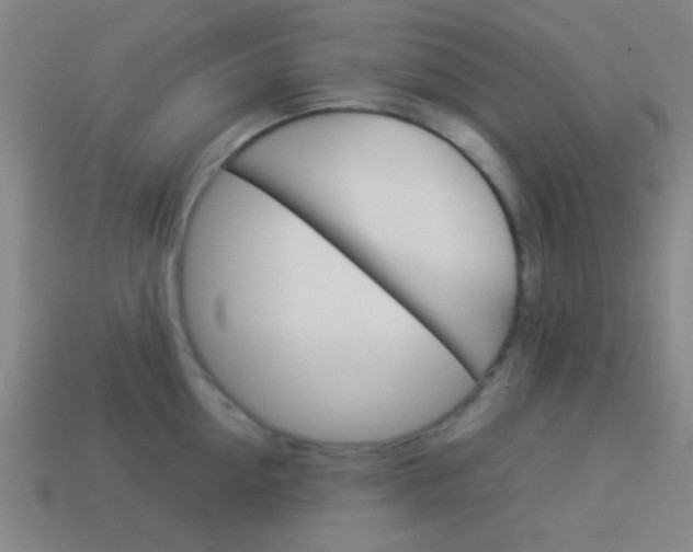 X0000114150954200910081110