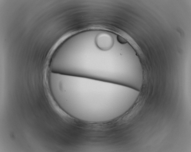 X0000114150955200910081110
