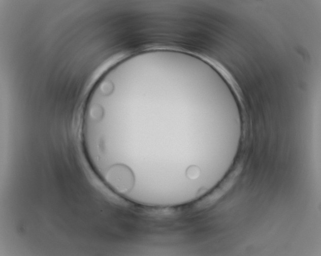 X0000114150957200910081110