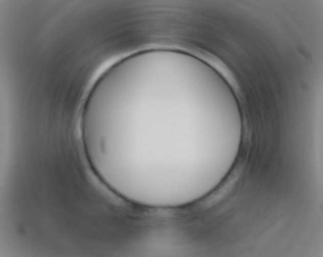 X0000114150958200910081110