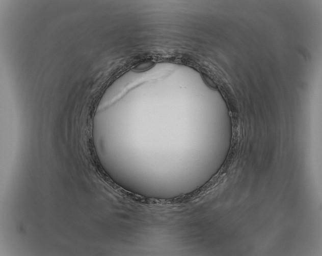 X0000114150961200910081109
