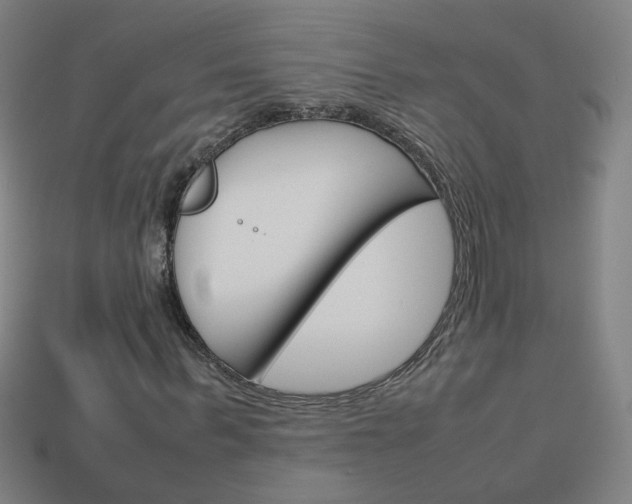 X0000114150963200910081109