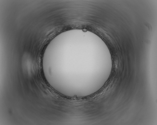 X0000114150964200910081109