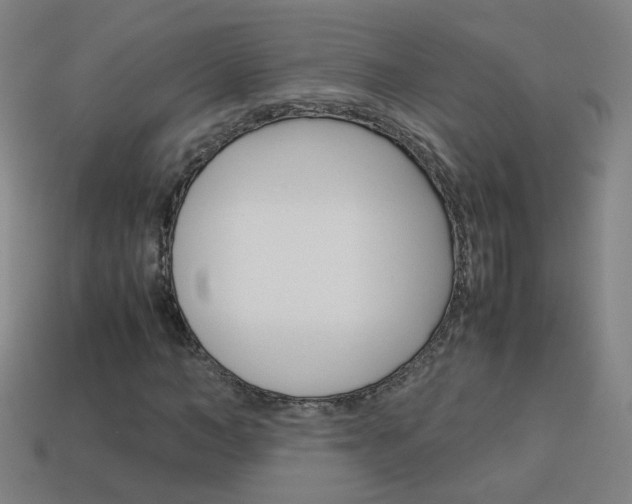 X0000114150966200910081109