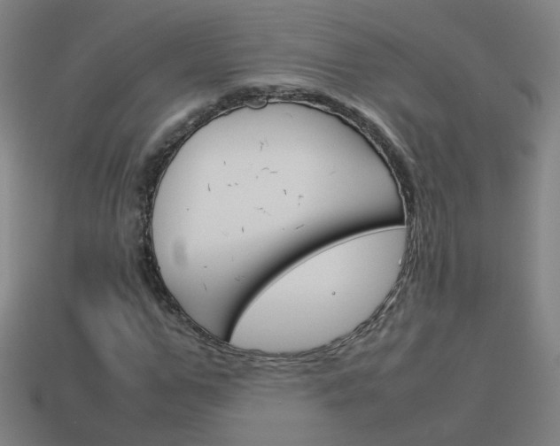 X0000114150967200910081109