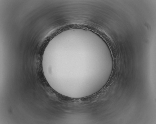 X0000114150968200910081109