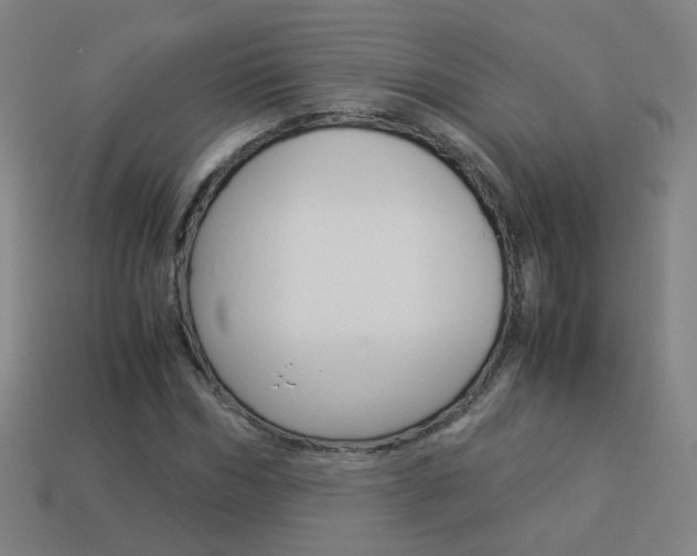 X0000114150970200910081109