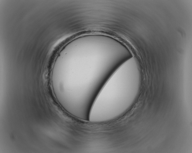 X0000114150971200910081109