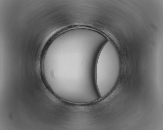 X0000114150976200910081109
