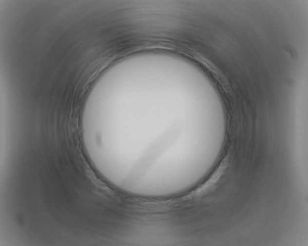 X0000114150977200910081109