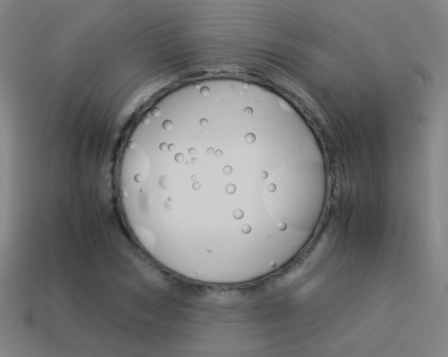 X0000114150978200910081109