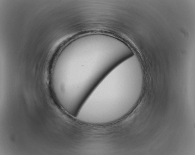 X0000114150979200910081109