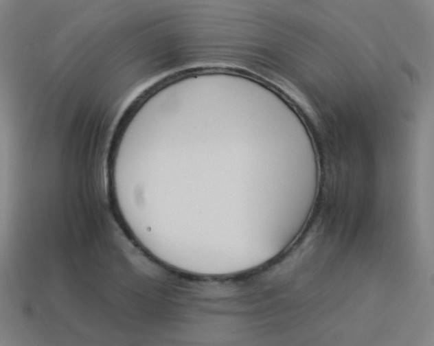 X0000114150980200910081109