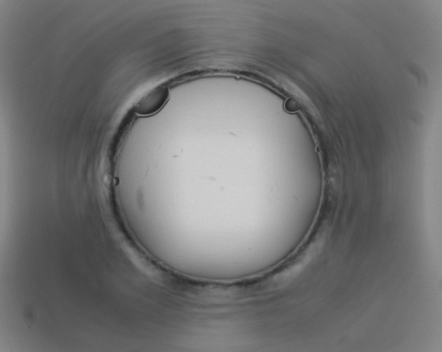 X0000114150981200910081109