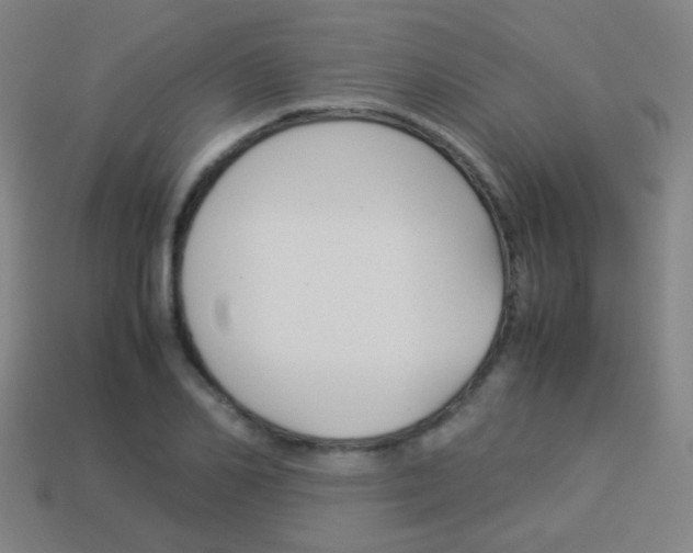 X0000114150982200910081109