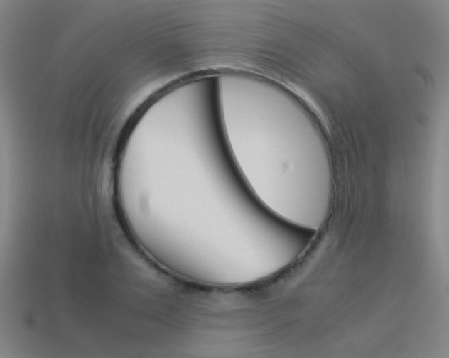 X0000114150983200910081109